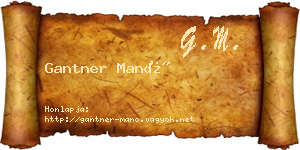 Gantner Manó névjegykártya